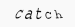 Enter this word in box